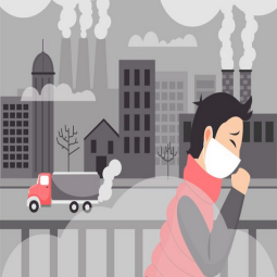 نقش طراحی سایت برای کسب‌وکارها در کاهش آلودگی هوا به ویژه در شهرهای بزرگ